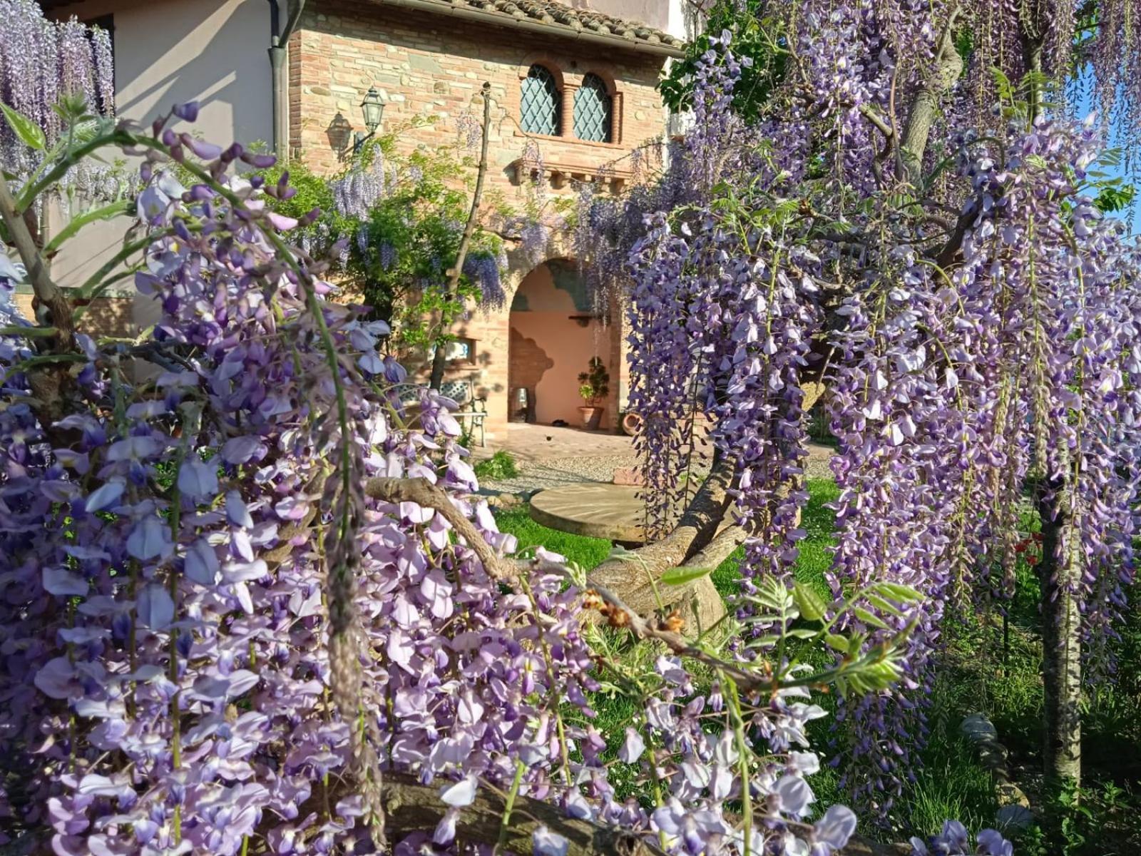 B&B Il Poggetto Montespertoli Zewnętrze zdjęcie