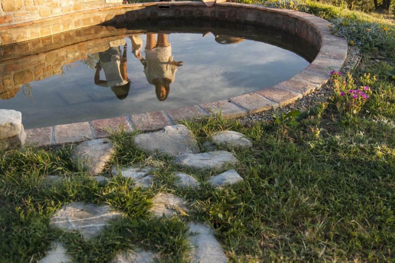 B&B Il Poggetto Montespertoli Zewnętrze zdjęcie