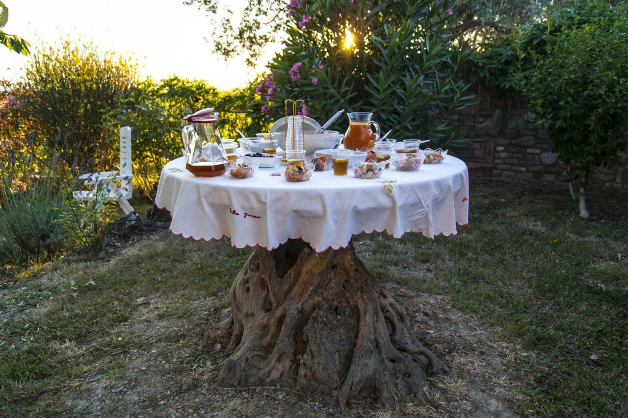 B&B Il Poggetto Montespertoli Zewnętrze zdjęcie